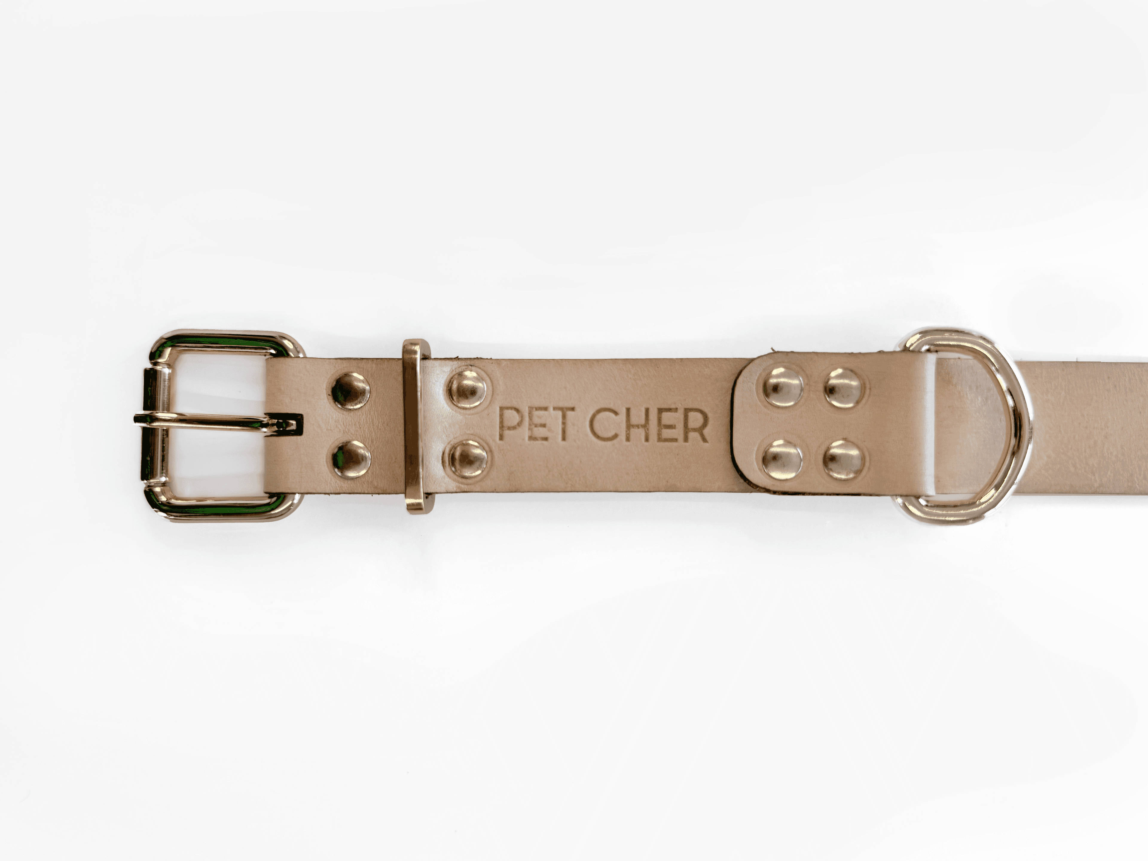 Imagem de trás da Pet Cher Apolo