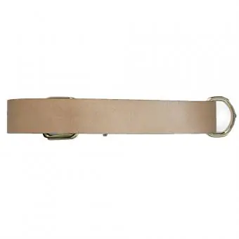 Coleira de couro para cachorro Pet Cher Apolo