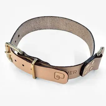 Coleira de couro para cachorro Pet Cher Apolo