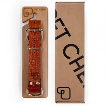 Coleira de couro para cachorro Pet Cher Astro