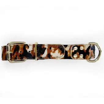 Coleira de couro para cachorro Pet Cher Bolt