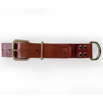 Coleira de couro para cachorro Pet Cher Jade