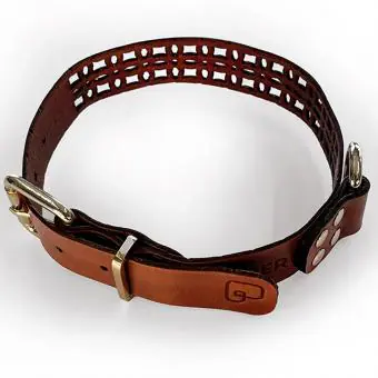Coleira de couro para cachorro Pet Cher Jade