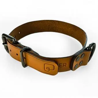 Coleira de couro para cachorro Pet Cher Max