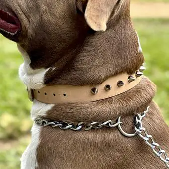 Coleira de couro para cachorro Pet Cher Rock - Código 7