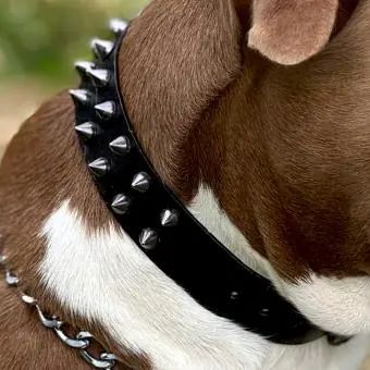 Coleira de couro para cachorro Pet Cher Tyson