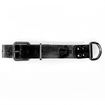 Coleira de couro para cachorro Pet Cher Tyson